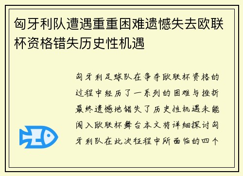 匈牙利队遭遇重重困难遗憾失去欧联杯资格错失历史性机遇